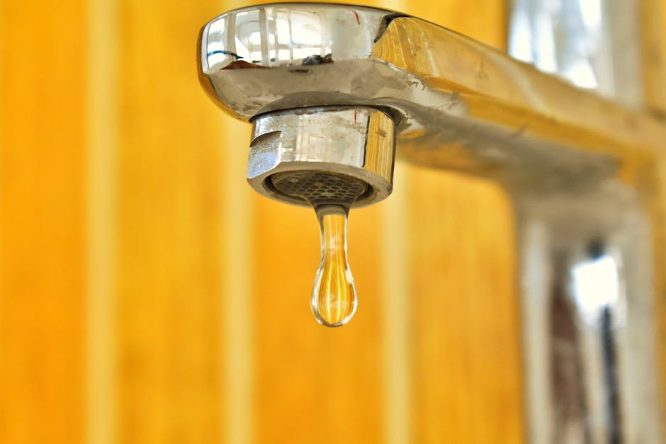 Leak Detection & Repair in Santa Monica, CA - The Santa Monica Plumber