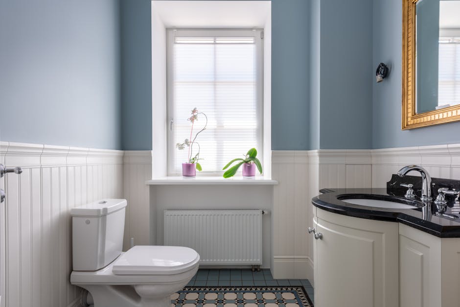 Toilet Repair & Installation in Santa Monica, CA - The Santa Monica Plumber